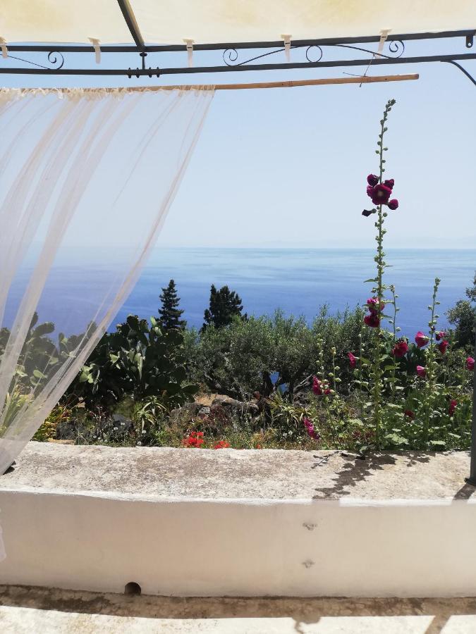 Alicudi Giardino Dei Carrubi- Al Gradino 365 Bed and Breakfast Eksteriør billede